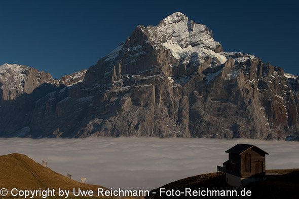 2010_10_14_16.30.42h_0443