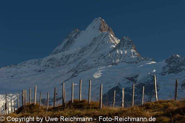 2010_10_14_16.52.42h_0579