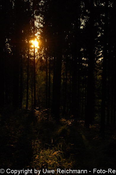 2011_07_15-20.35.36h_0222