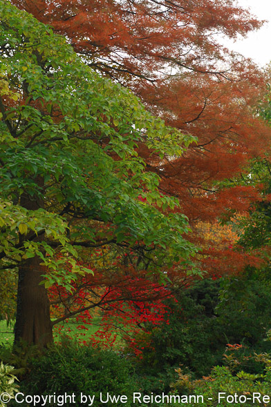 2011_10_27-15.43.40h_0179