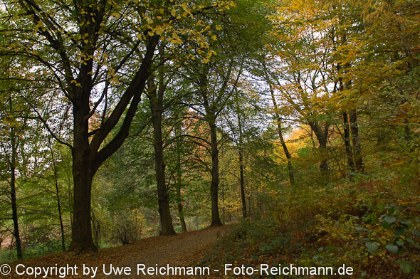 2011_10_29-15.46.48h_0231