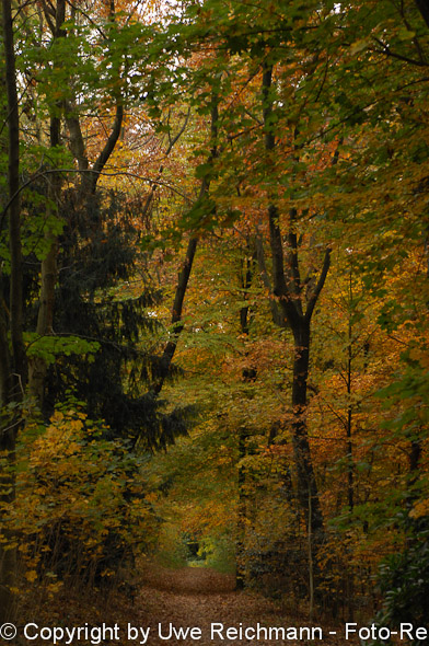 2011_10_29-15.51.10h_0242