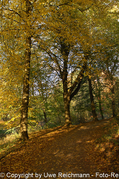 2011_10_29-16.37.46h_0364