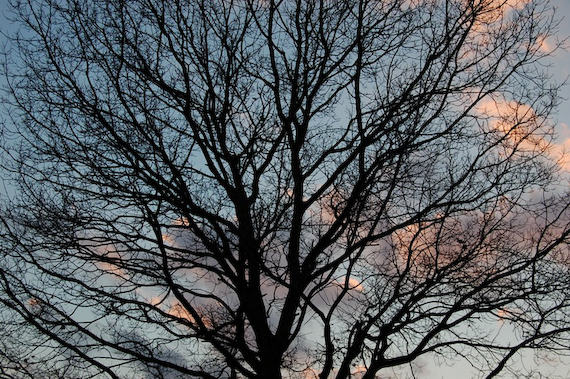 2007_03_02_18.02.12h