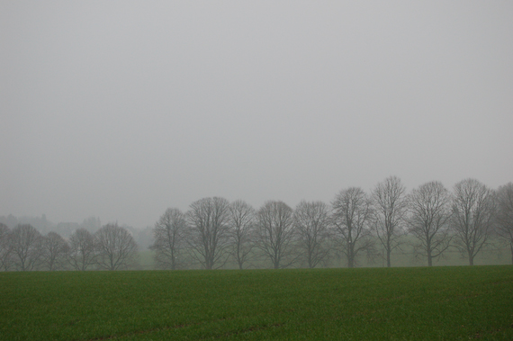 2007_02_18_15.51.38h