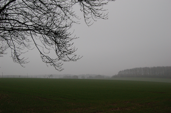 2007_02_18_15.56.34h