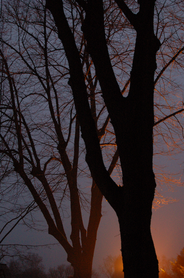 2007_02_18_17.56.30h