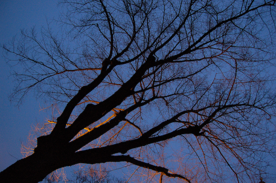 2007_02_18_18.01.24h